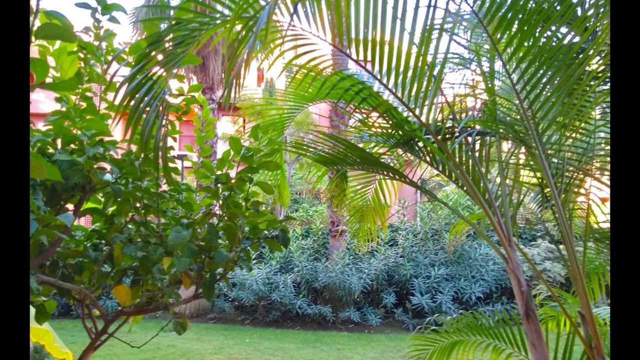 Marbella Alicate Beachfront - Luxury Apartment-2 Dış mekan fotoğraf